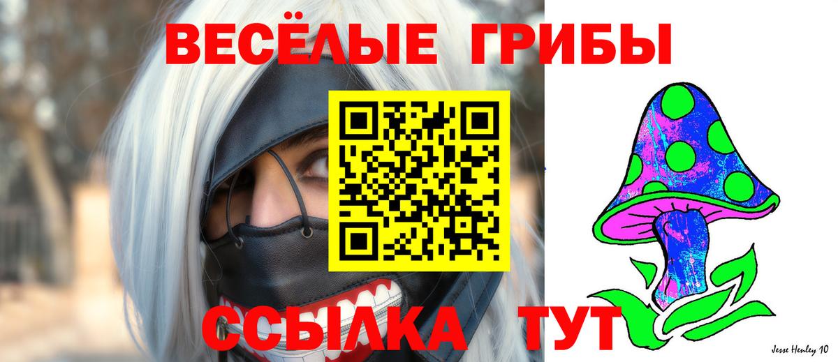 Псилоцибиновые грибы ЛСД Аргун