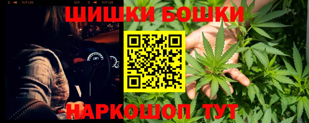 Конопля конопля Аргун